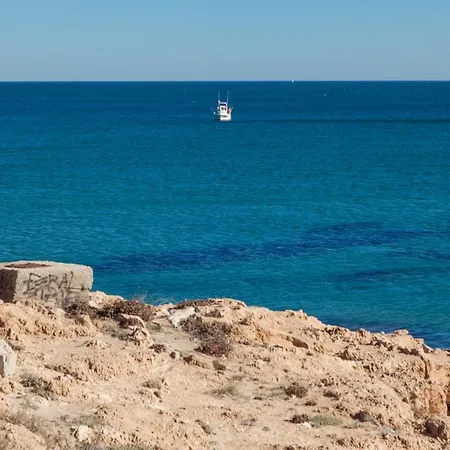 Flamenco Dorado Ii Orihuela