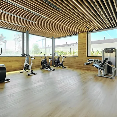 Flamenco Dorado Ii *